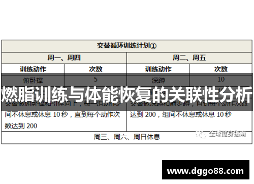 燃脂训练与体能恢复的关联性分析